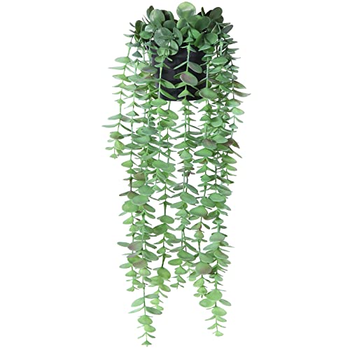 Eucalipto Artificial Plantas Artificiales Decorativas Eucalyptus Falsa Planta Colgante Vertical en...