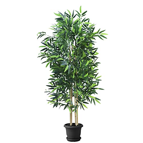 PLANTAWA Planta de Bambú 150 cm, Planta para decoración del hogar, Sin macetero, Planta de Bambú...