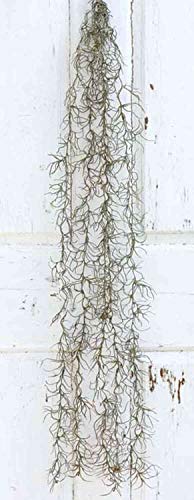 artplants.de Tillandsia Usneoides Artificial CEVIN, en Varilla de Ajuste, Verde, 100cm - Tillandsia...
