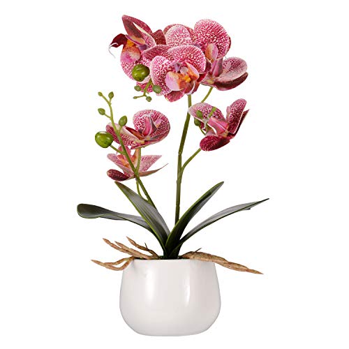 Asvert Phalaenopsis Bonsai de orquídeas de Flores Artificiales con jarrón de cerámica