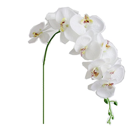 Romote 1PC Mariposa Artificial Orquídea Floral de la Flor Planta Falsa Blanca