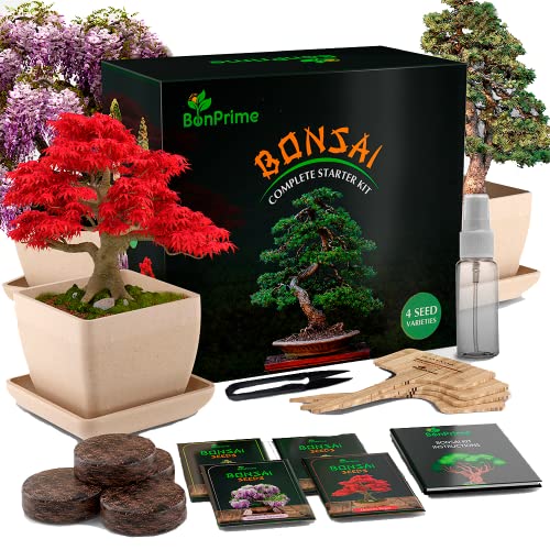 BonPrime Kit Cultivo Bonsai - Kit para Principiantes - Con 4 Tipos de Arboles, 4 Macetas de Bambú,...