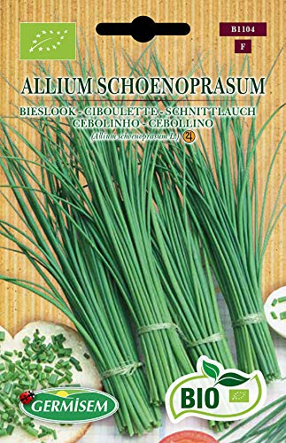 Germisem Orgánica Allium Schoenopasum Semillas de Cebollino 2 g, ECBIO1104