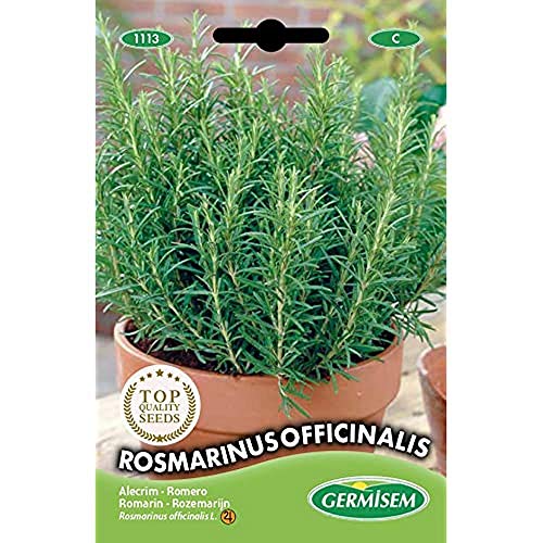 Germisem Rosmarinus Officinalis Semillas de Romero 0.3 g (EC1113)