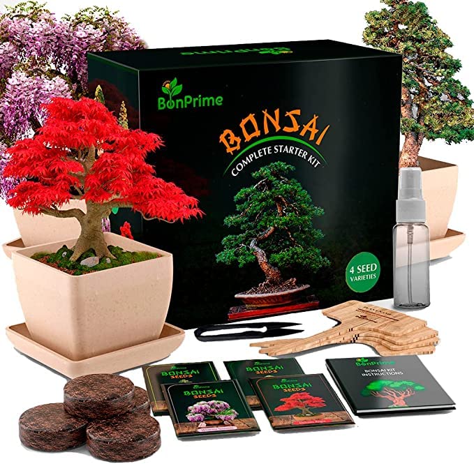 BonPrime Kit Cultivo Bonsai - Kit para Principiantes - Con 4 Tipos de Arboles, 4 Macetas de Bambú,...