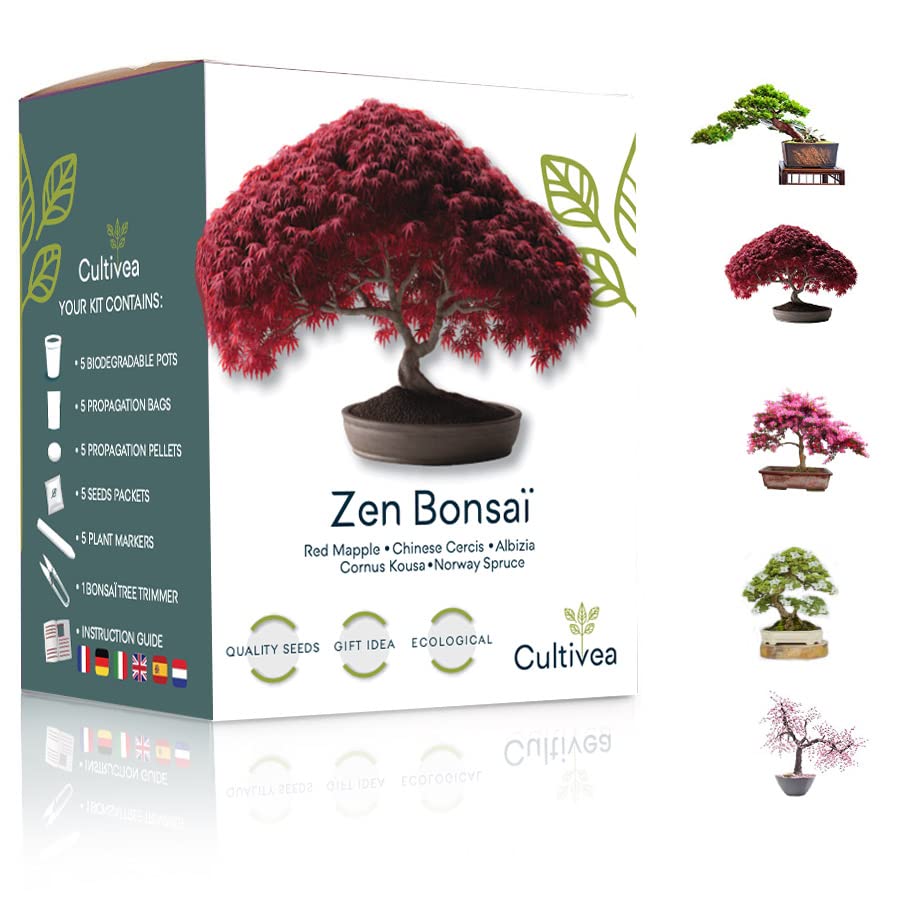Cultivea Mini - Kit de 5 Bonsái para cultivar - Semillas de calidad - Jardín - Idea de regalo...